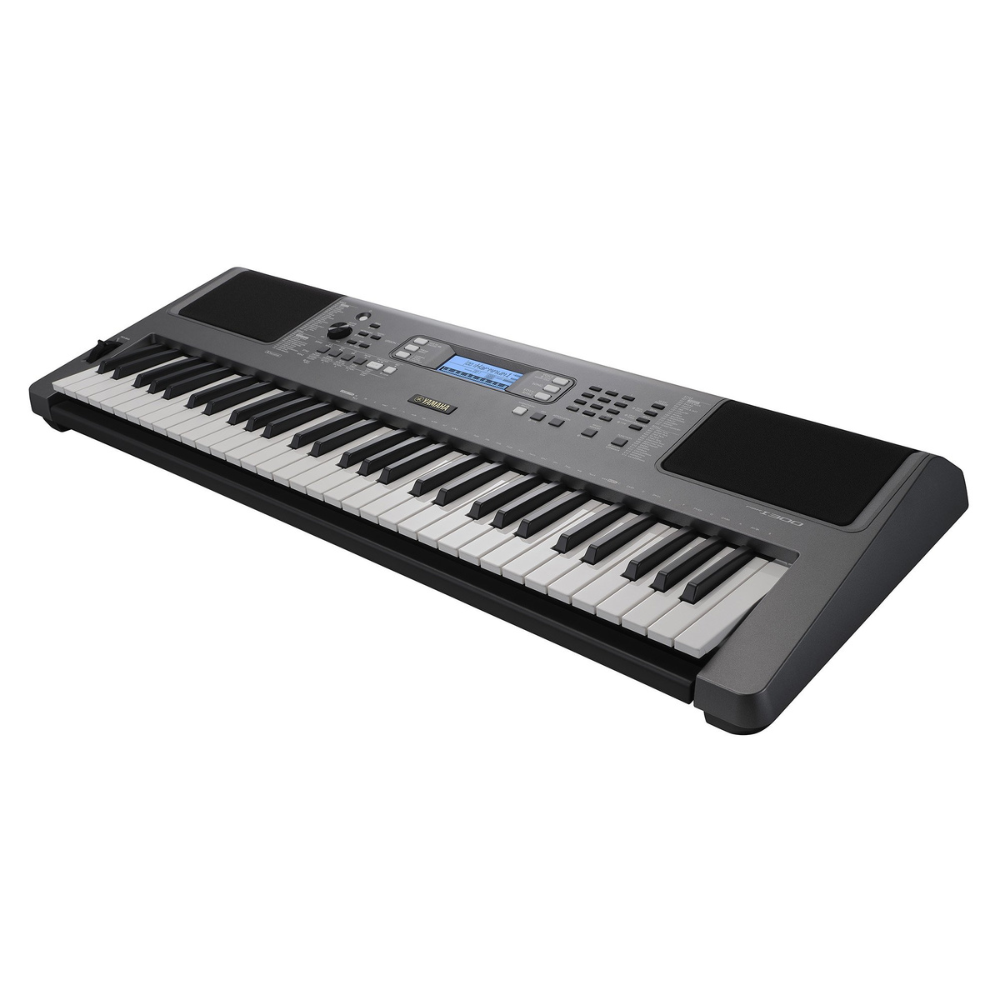 PSR_I-300